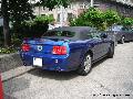 Ford Mustang GT Convertible - Budapest