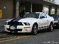 Shelby GT-500