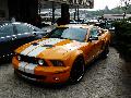 Shelby GT-500 - Budapest (Marco)